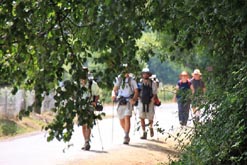 Camino de Santiago Walking Holidays