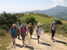 Camino de Santiago Walking Holidays