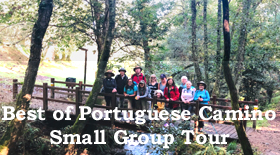 Portuguese Group