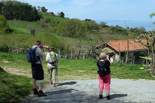 Camino de Santiago Walking Holidays