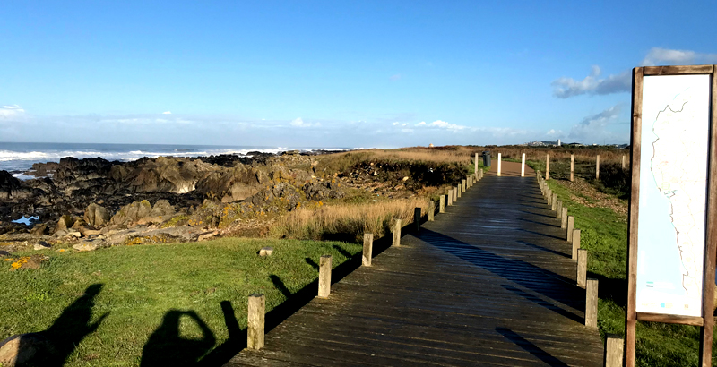 boardwalk